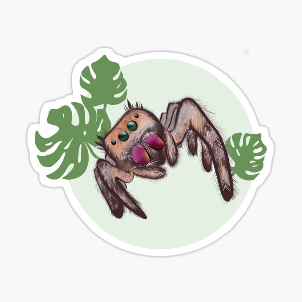Item preview, Spiders and Plants designed and sold by On a Wimsy.