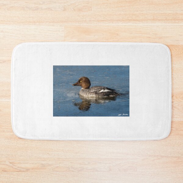 Item preview, Female Common Goldeneye Reflected in the Water designed and sold by Jeff Goulden Photography.