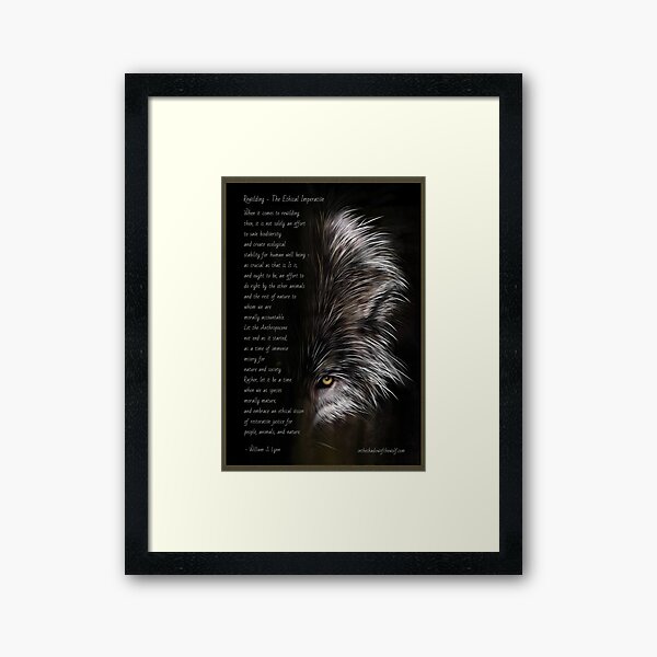 Framed Print