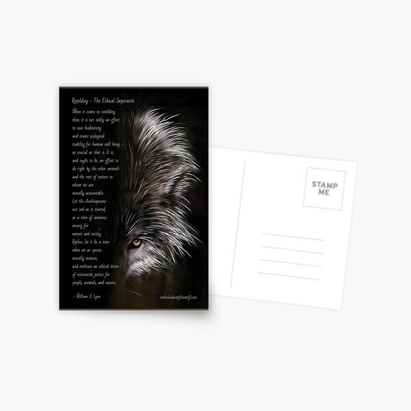 Rewild Your Heart Postcard