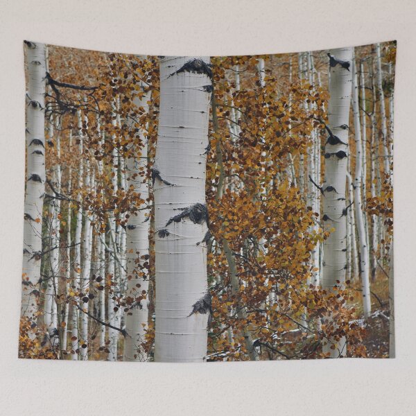 Item preview, Colorado, Aspens  designed and sold by beachfanatic.