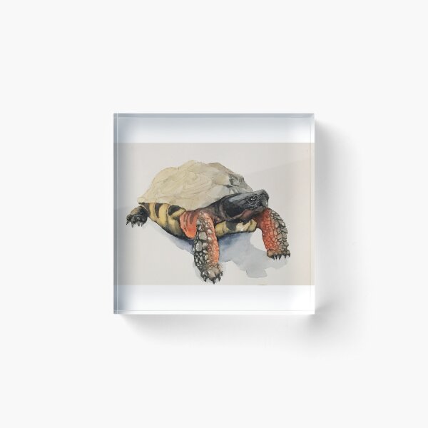 Item preview, Wood turtle designed and sold by DesignByTina.