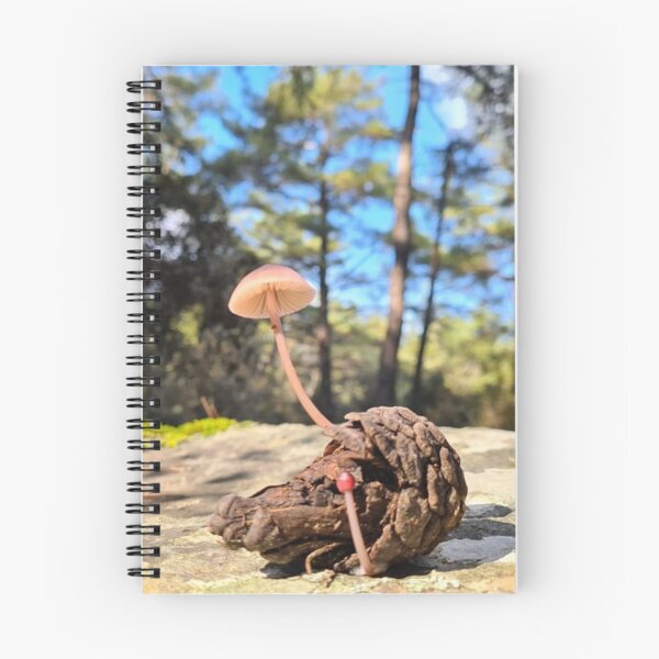 Item preview, Mushroom umbrella in pine cone. designed and sold by igeorgia.