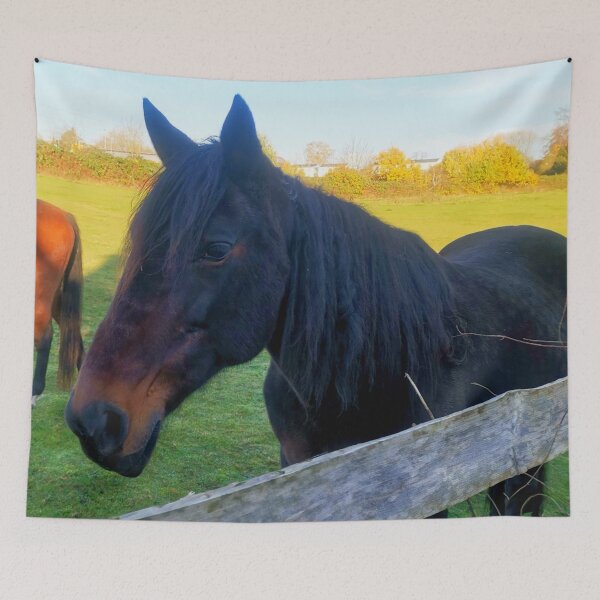 Item preview, beautiful mare designed and sold by OMdesigns93.