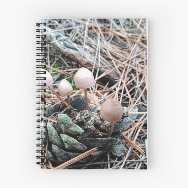 Item preview, Mushroom in pine cone designed and sold by igeorgia.