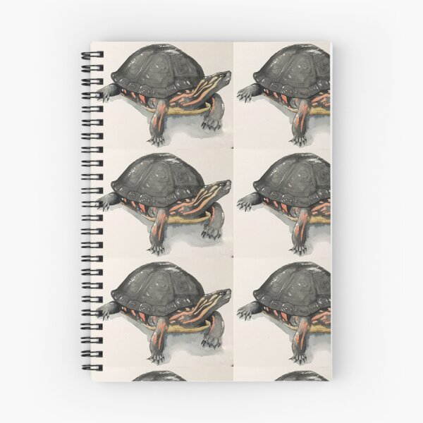 Item preview, Painted Turtle  designed and sold by DesignByTina.