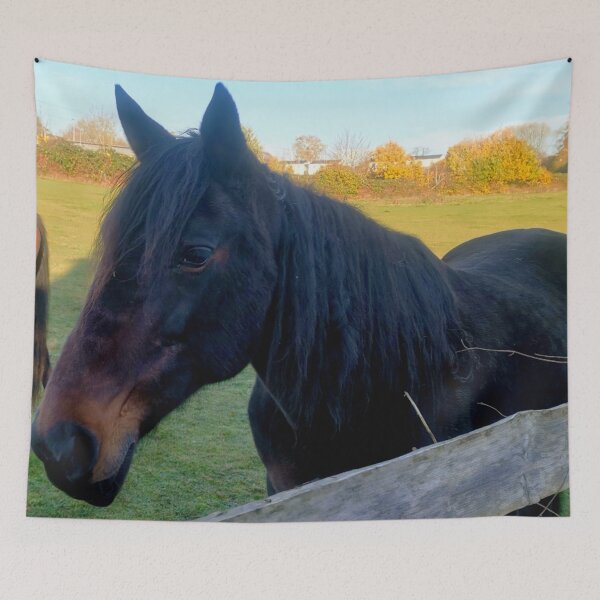 Item preview, beautiful horse designed and sold by OMdesigns93.