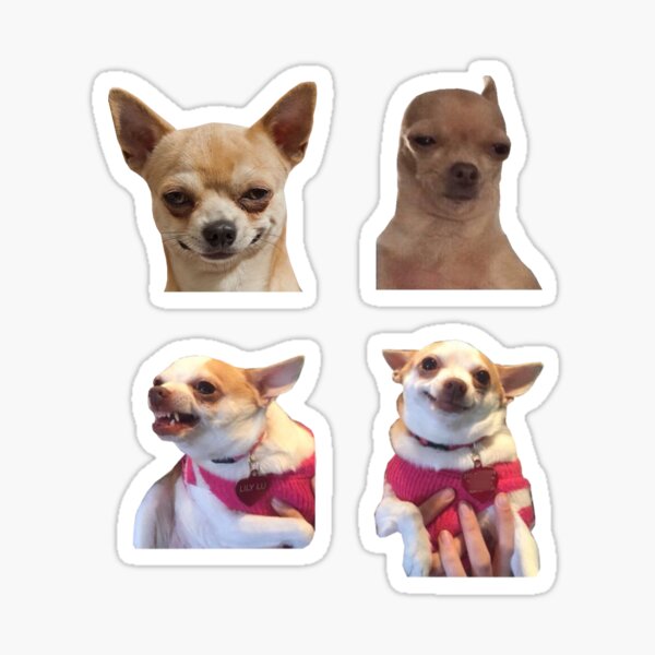 Chihuahua Dog Meme Sticker Pack Sticker
