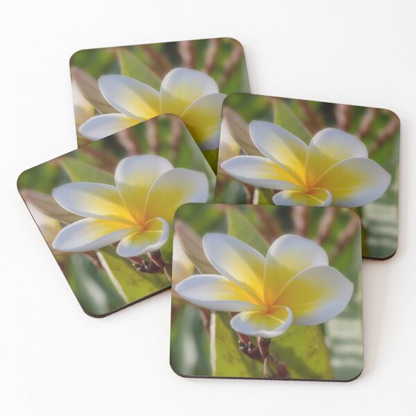 Item preview, Sweet Frangipani designed and sold by Kasia Design.