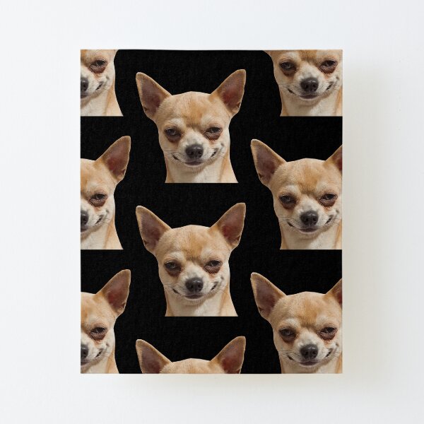Laminas Montadas Angry Chihuahua Meme Redbubble Laminas Montadas Angry Chihuahua Meme Redbubble