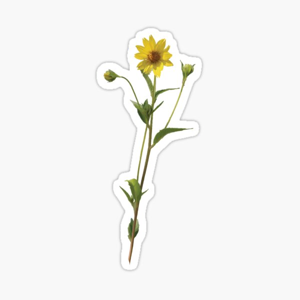 Wild Sunflower Sticker