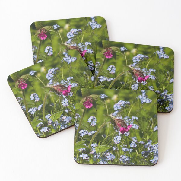 Item preview, Red Campion and Forget-me-not designed and sold by Violaman.
