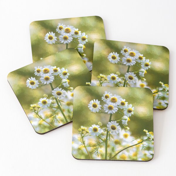 Item preview, Artistic Ox-eye Daisies designed and sold by Violaman.