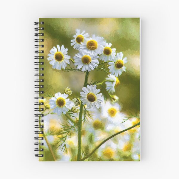 Item preview, Artistic Ox-eye Daisies designed and sold by Violaman.