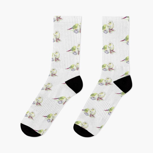 Item preview, 2 conures in low tops and Mary Janes designed and sold by JimsBirds.