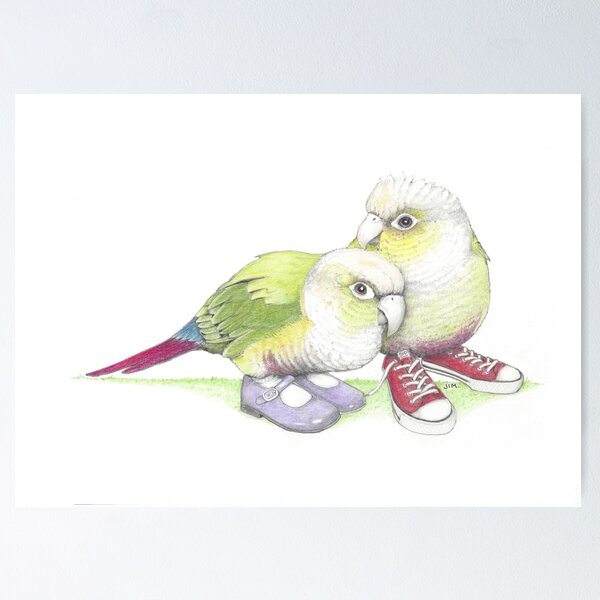 Item preview, 2 conures in low tops and Mary Janes designed and sold by JimsBirds.