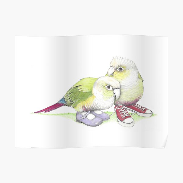 2 conures in low tops and Mary Janes Poster