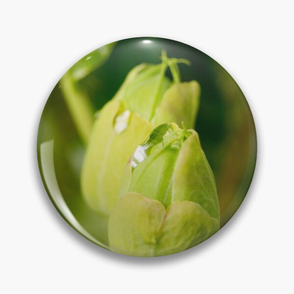 Item preview, gli ready to bloom designed and sold by pcfyi.