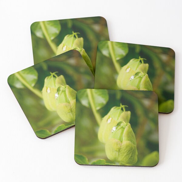 Item preview, gli ready to bloom designed and sold by pcfyi.