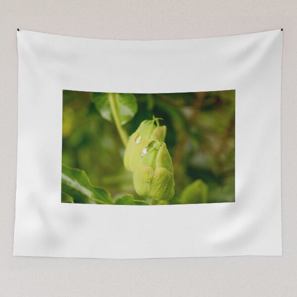 Item preview, gli ready to bloom designed and sold by pcfyi.