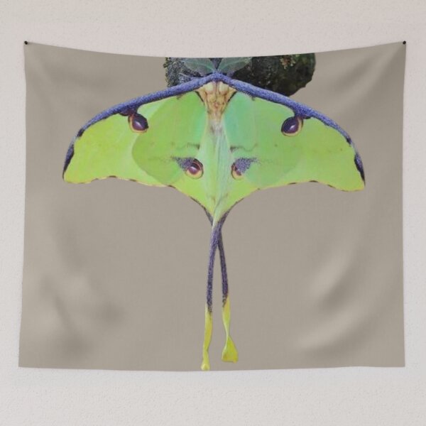 Item preview, The face in a butterfly. designed and sold by Karine Dupras.