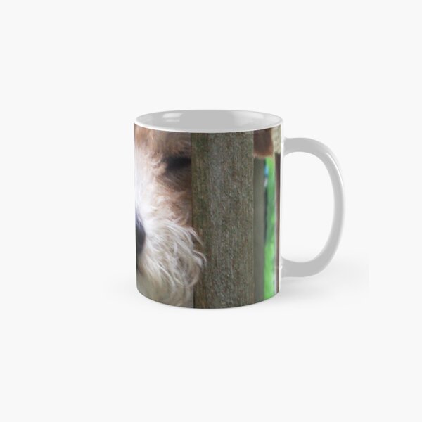 Don't blame me, I was framed! Classic Mug