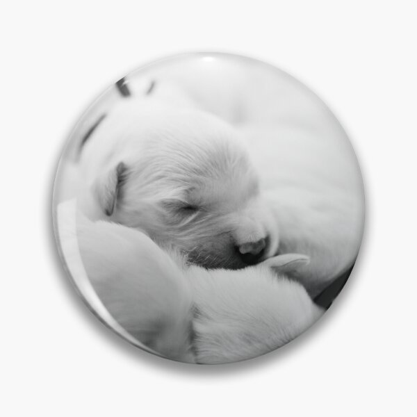Item preview, A new born golden retriever puppies designed and sold by Tasos Hatzikirou.