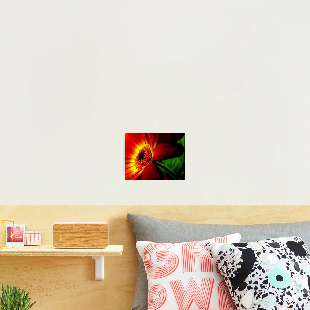 Item preview, Photographic Print designed and sold by bubblehex08.
