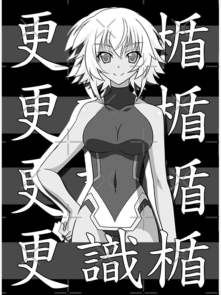 IS: Infinite Stratos  Manga 