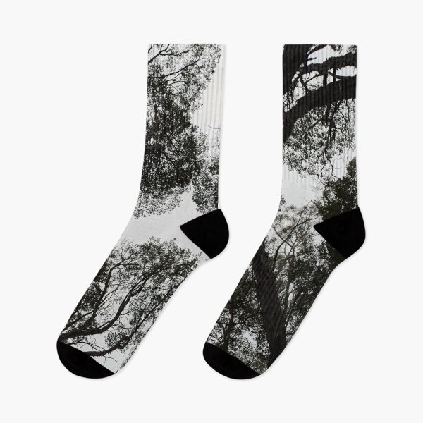 Item preview, Tasmanian forest canopy designed and sold by PeteMellows.