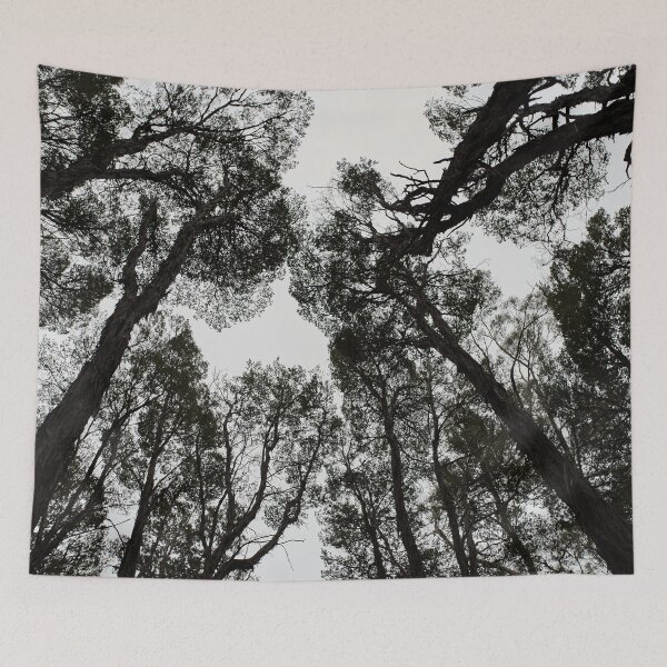 Item preview, Tasmanian forest canopy designed and sold by PeteMellows.
