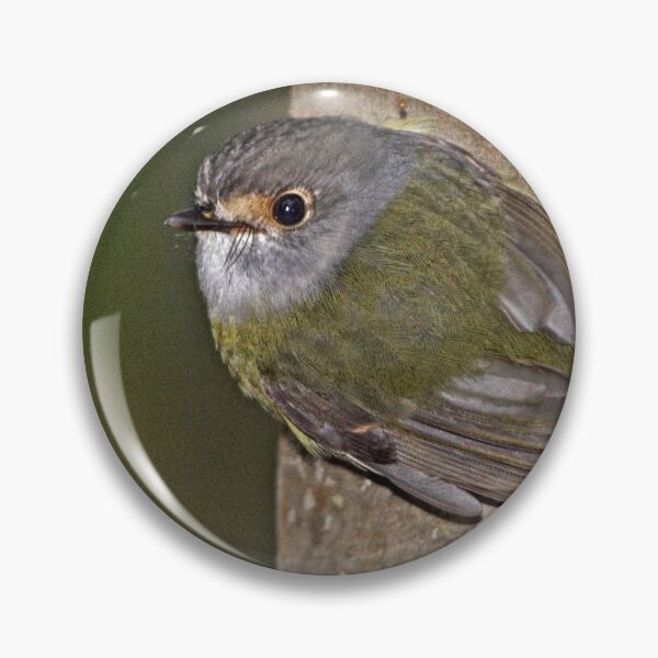 Item preview, Pale-yellow Robin  designed and sold by Robert Elliott.