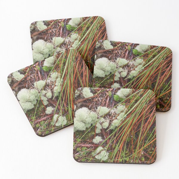 Item preview, Tasmanian rainforest floor with lichen designed and sold by PeteMellows.