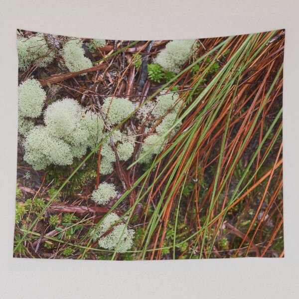 Item preview, Tasmanian rainforest floor with lichen designed and sold by PeteMellows.