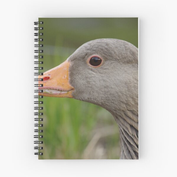 Item preview, Greylag Goose Portrait designed and sold by Adrian Wale.