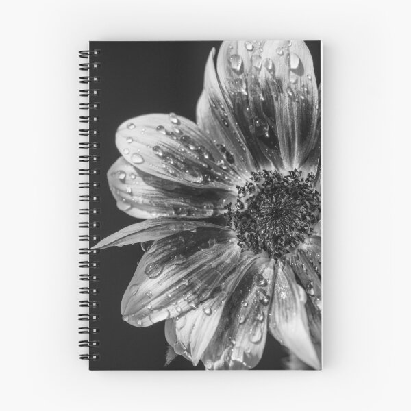 Item preview, Girasol blanco y negro designed and sold by Raeion.