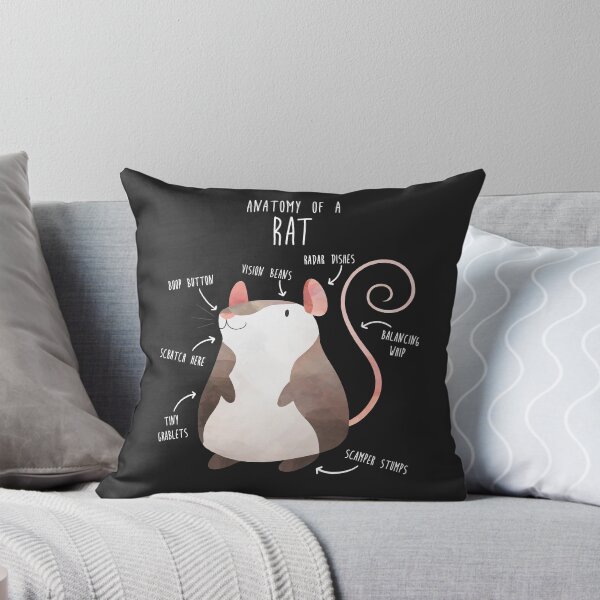 Item preview, Anatomy of a Rat designed and sold by Clara Hollins.
