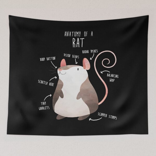 Item preview, Anatomy of a Rat designed and sold by Clara Hollins.