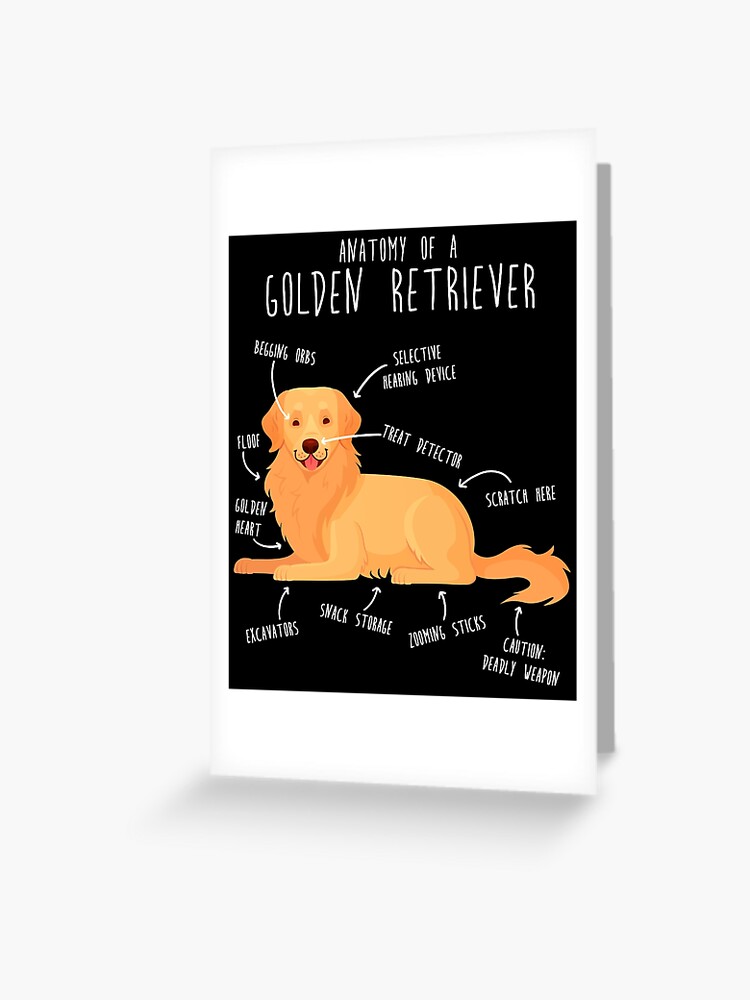 Vecteurs Et Illustrations De Carte Anniversaire Chien En Téléchargement