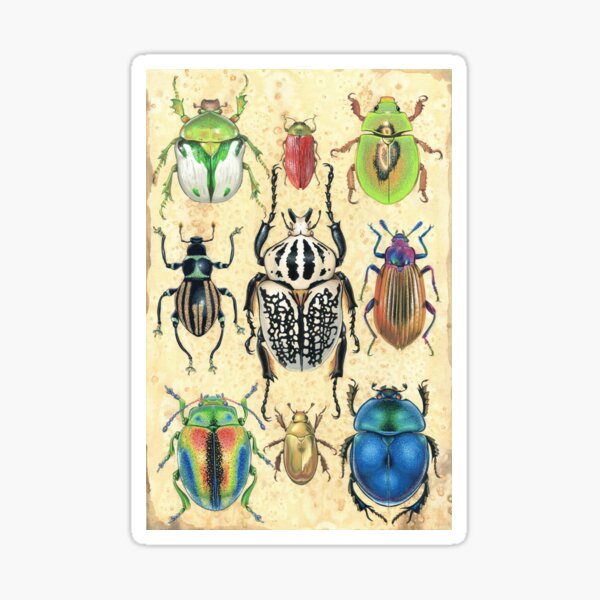 Item preview, Vintage style beetle illustration designed and sold by Artionna.