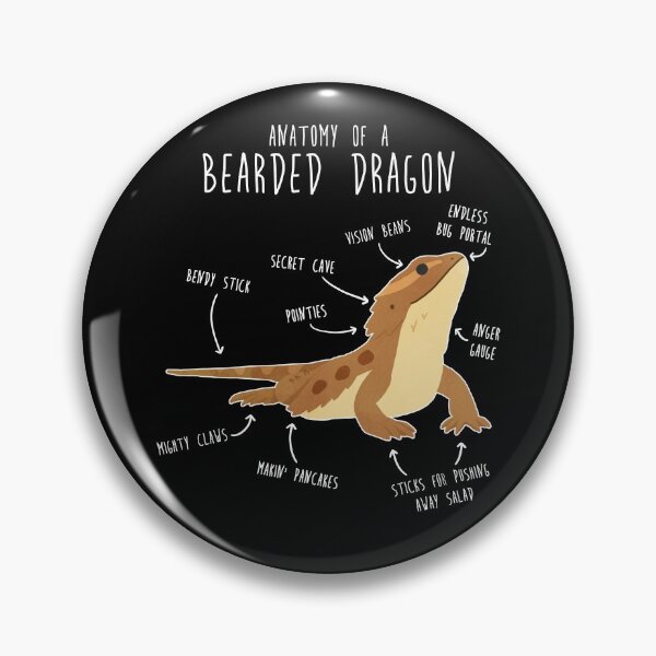 Item preview, Anatomy of a Bearded Dragon designed and sold by Clara Hollins.