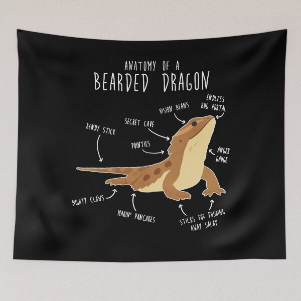 Item preview, Anatomy of a Bearded Dragon designed and sold by Clara Hollins.