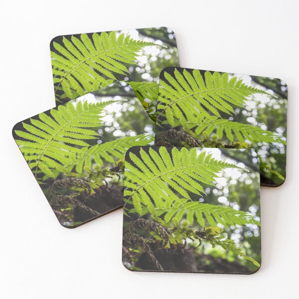 Item preview, Ferns designed and sold by Charles August.