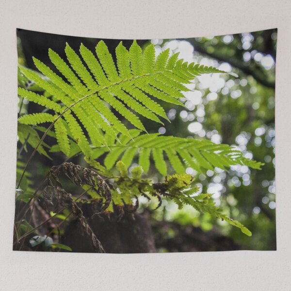 Item preview, Ferns designed and sold by Charles August.