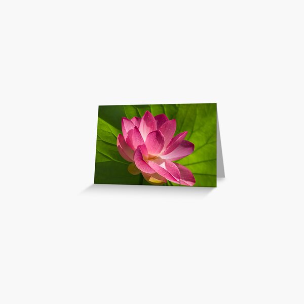 Lotus Flower Emblem Of Sacred Grace And Enlightenment, Symbol Of Abundance, Good Fortune And Wealth. Greeting Card