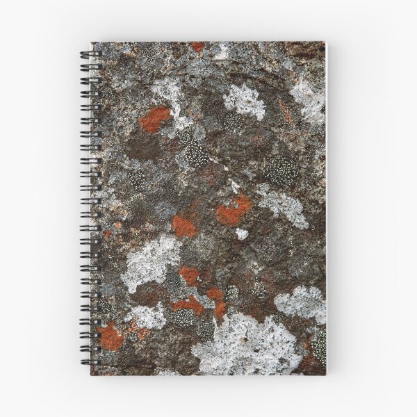Item preview, Tasmanian dolerite with lichen designed and sold by PeteMellows.