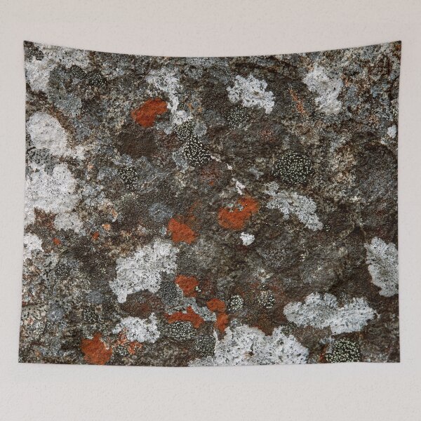 Item preview, Tasmanian dolerite with lichen designed and sold by PeteMellows.