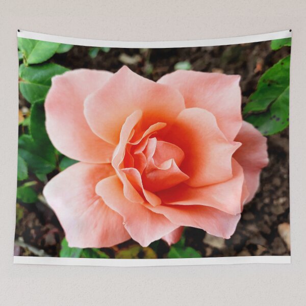 Item preview, Pink rose  designed and sold by hobbytimes.
