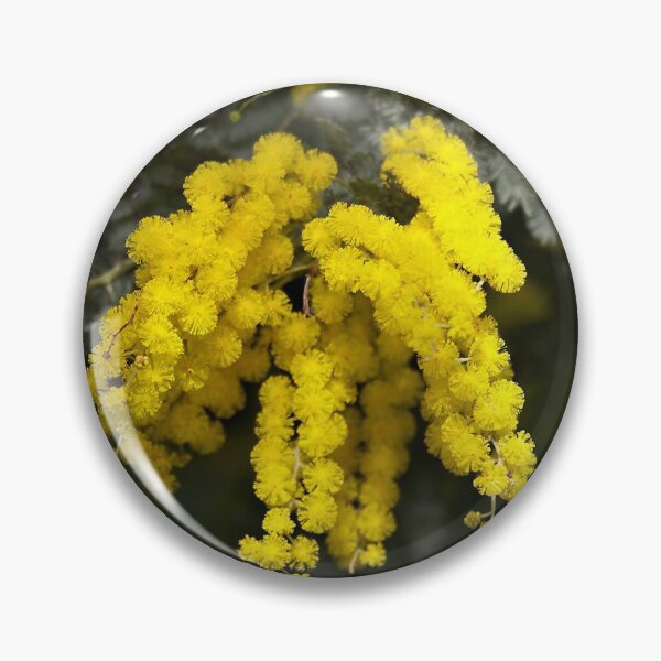 Item preview, Cootamundra Wattle designed and sold by Robert Elliott.