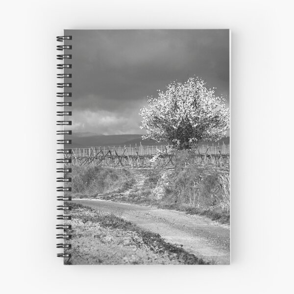 Item preview, Vineyard Track designed and sold by Paul Pasco.